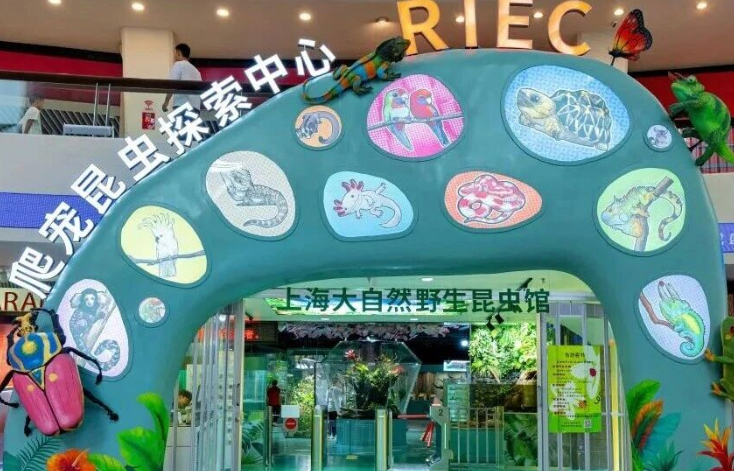 城市地标×微观自然：东方明珠塔携手上海大自然野生昆虫馆打造沉浸式科普新空间
